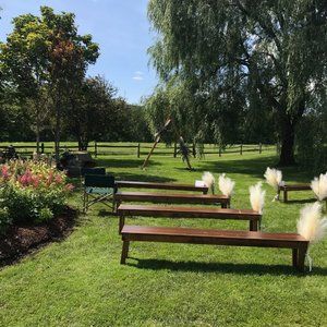 24 Pampas Grass Stems